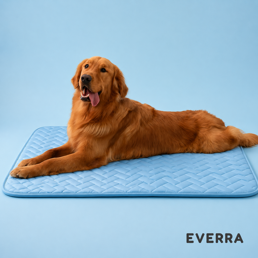 Everra Cooling Hondenmat