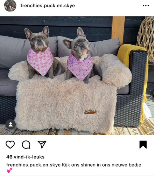 Klantfoto